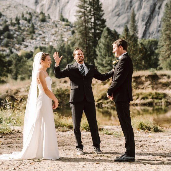 Petite BHLDN Willowby by Watters Brannox Wedding Gown - size 0/2 - Picture 12 of 14